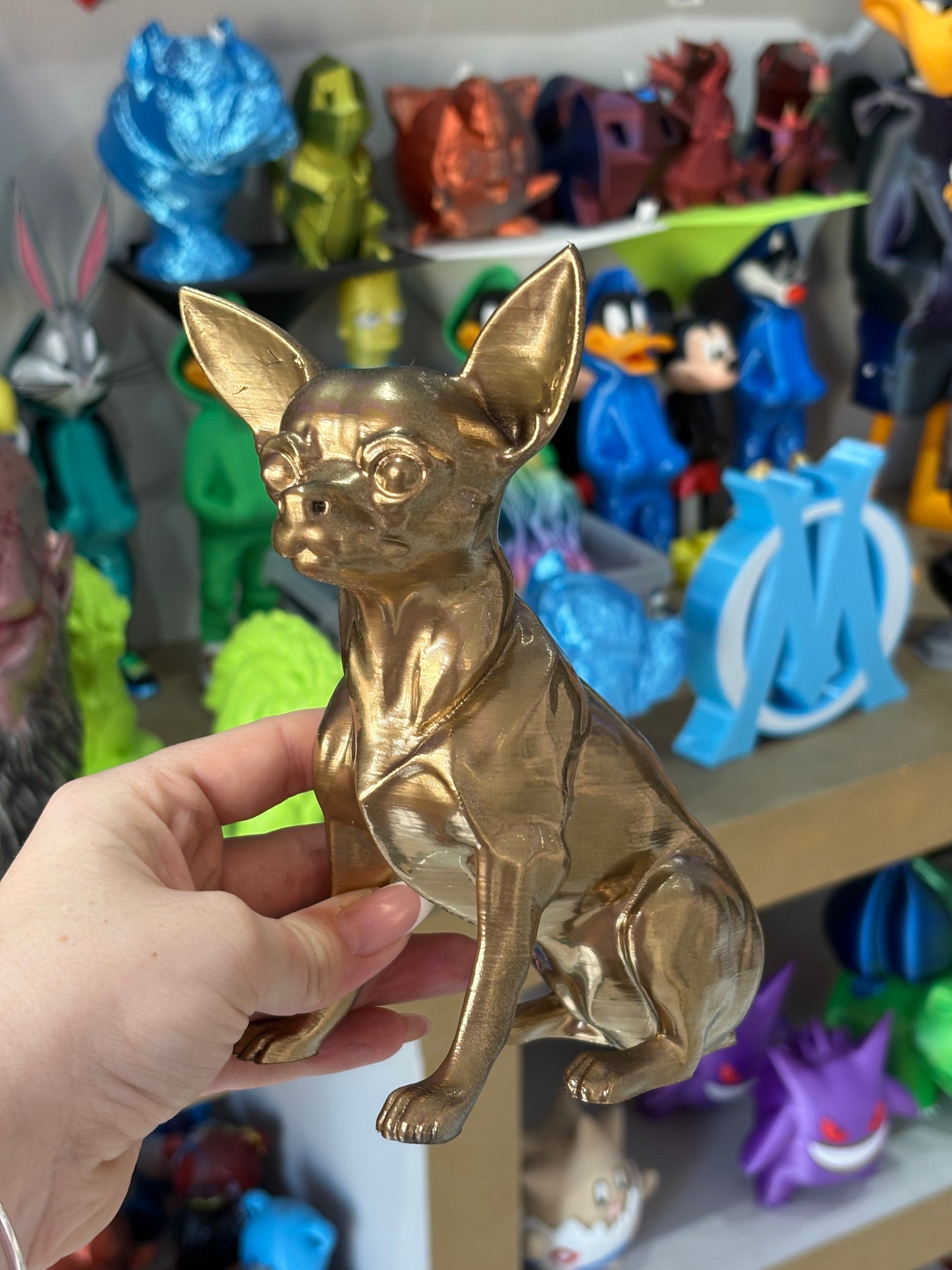 CHIHUAHUA