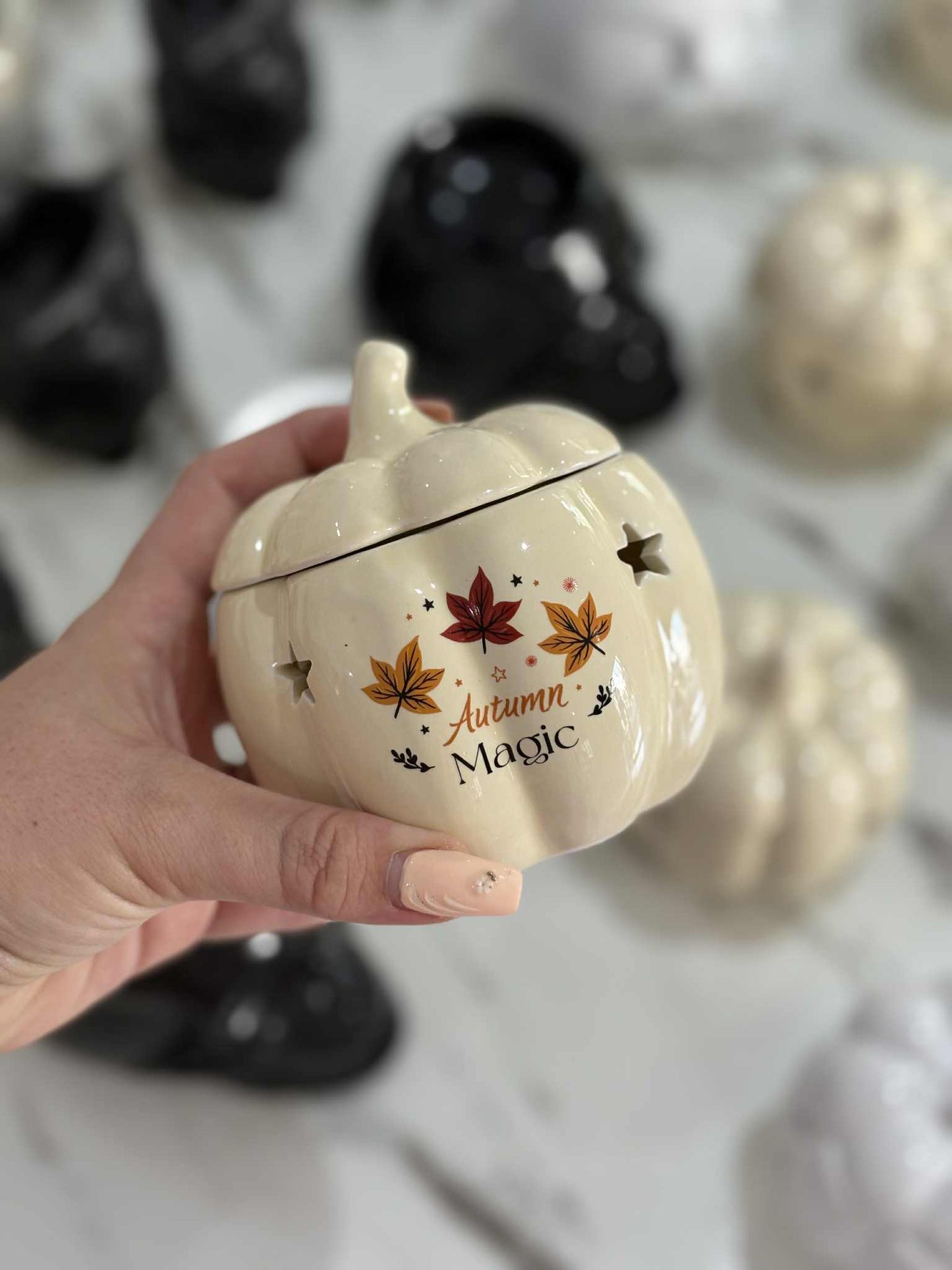 BRULEUR CITROUILLE AUTOMNE